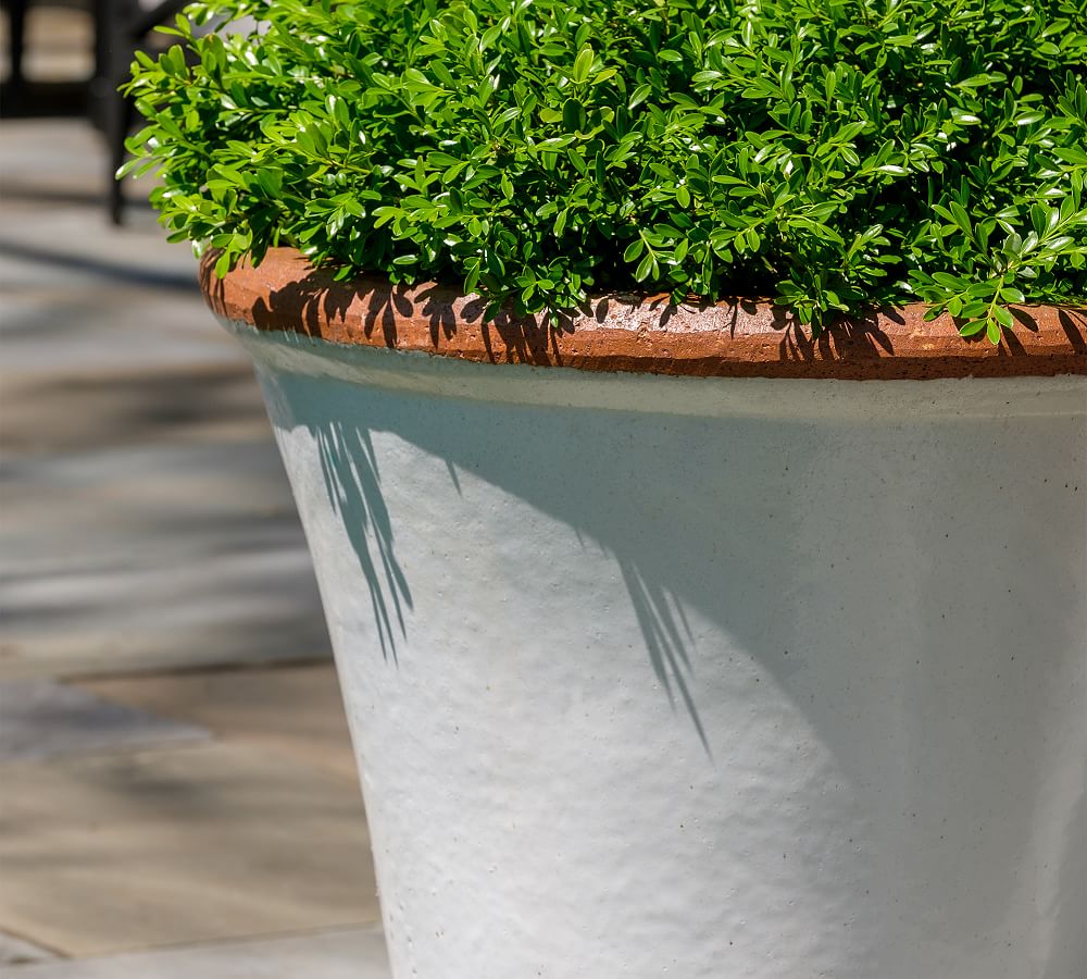Juliet Glazed Terracotta Planter