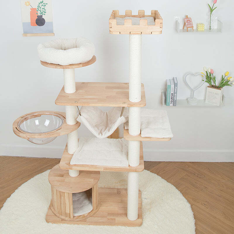 â¤ï¸The Best Gift For Your Cats
