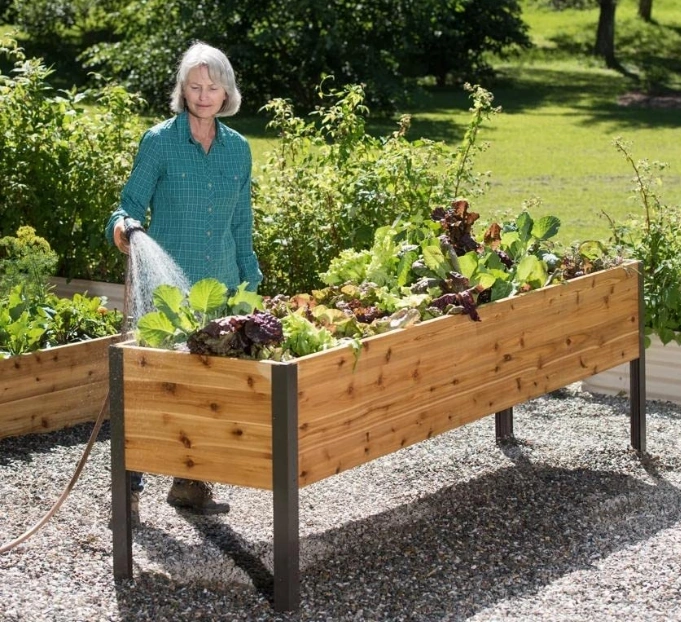 詩Heavy Duty Standing Garden Planters for Outdoor笶､・・2' x 8' )