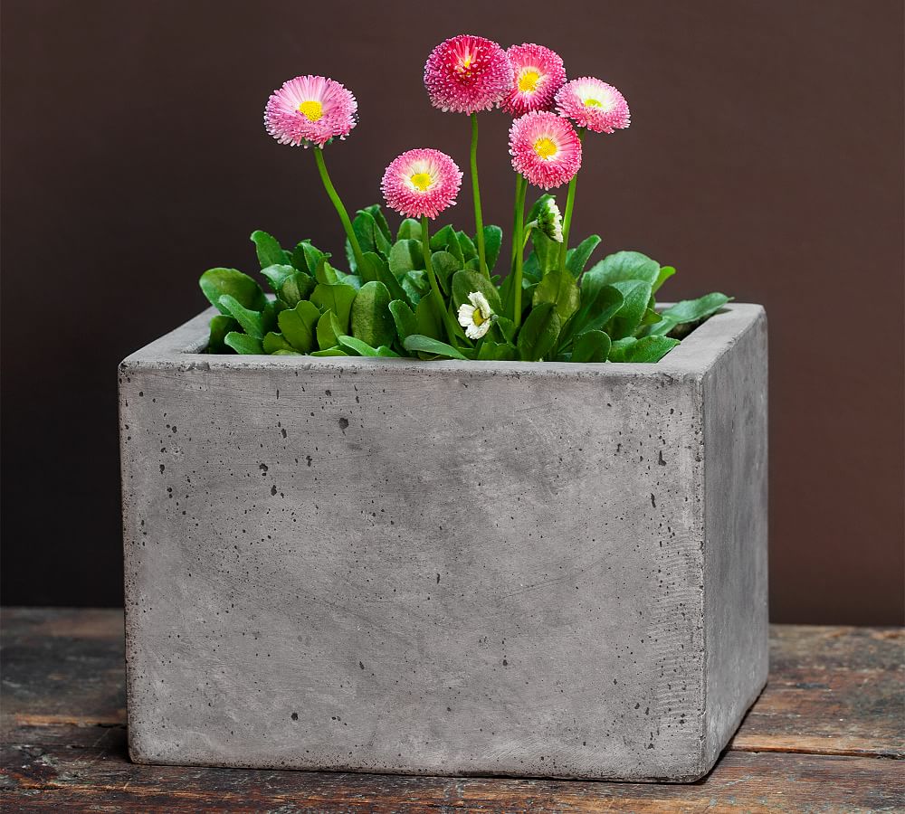 Tallulah Fiber Cement Rectangle Planters