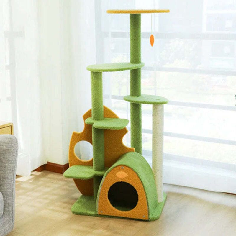 â¤ï¸The Best Gift For Your Cats
