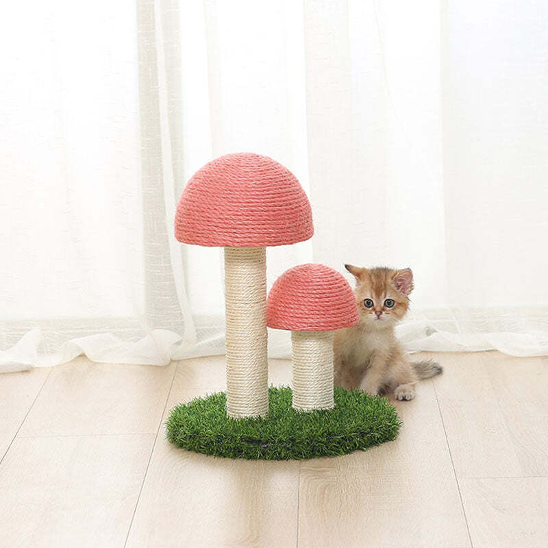 â¤ï¸The Best Gift For Your Cats