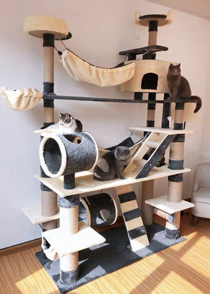 â¤ï¸The Best Gift For Your Cats