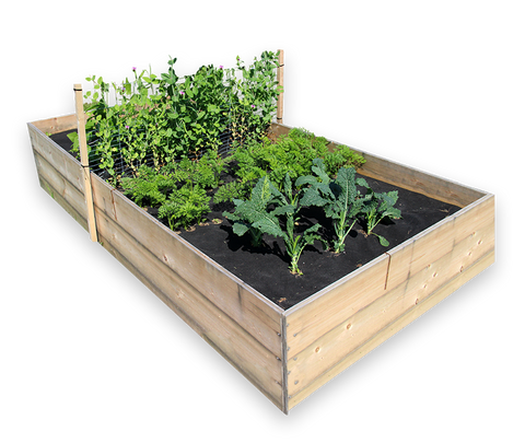 Weed Barrier Fabric with planting hole