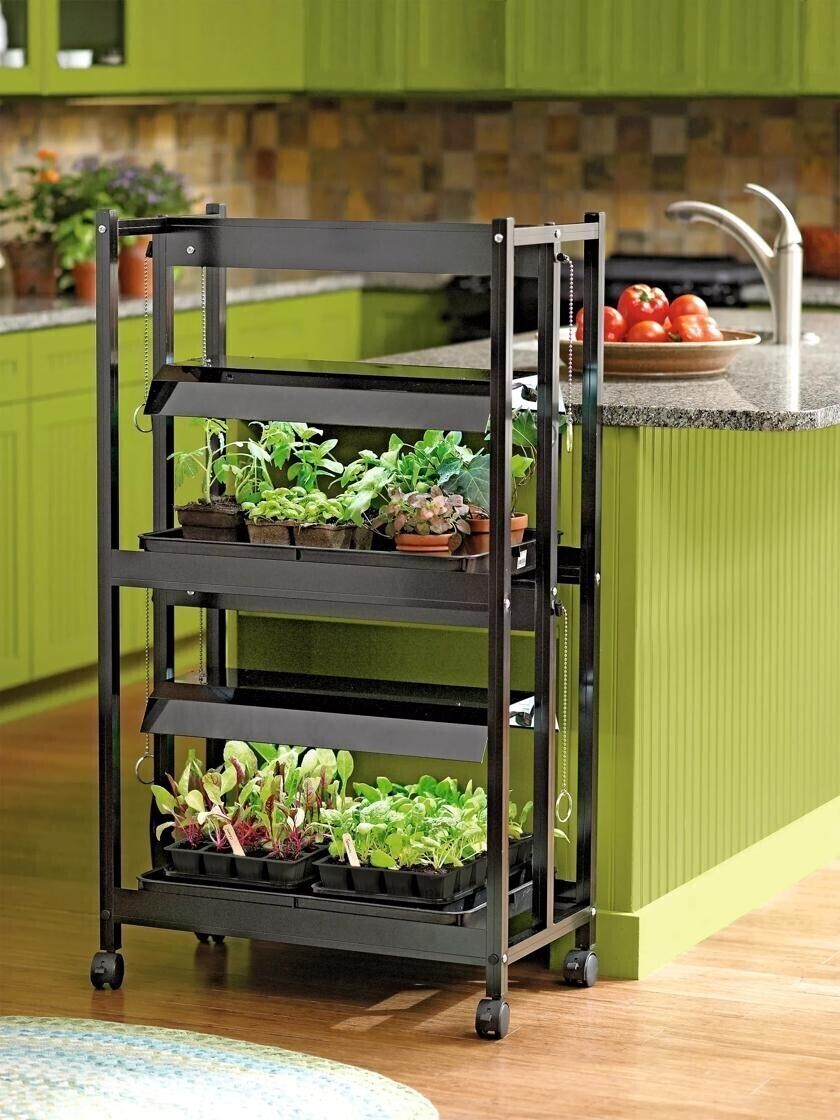 Compact 2-Tier Garden Beds