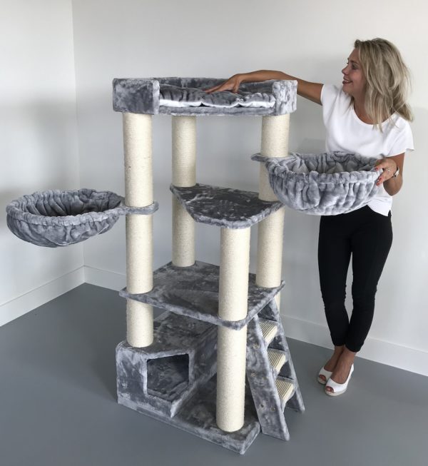 â¤ï¸The Best Gift For Your Cats