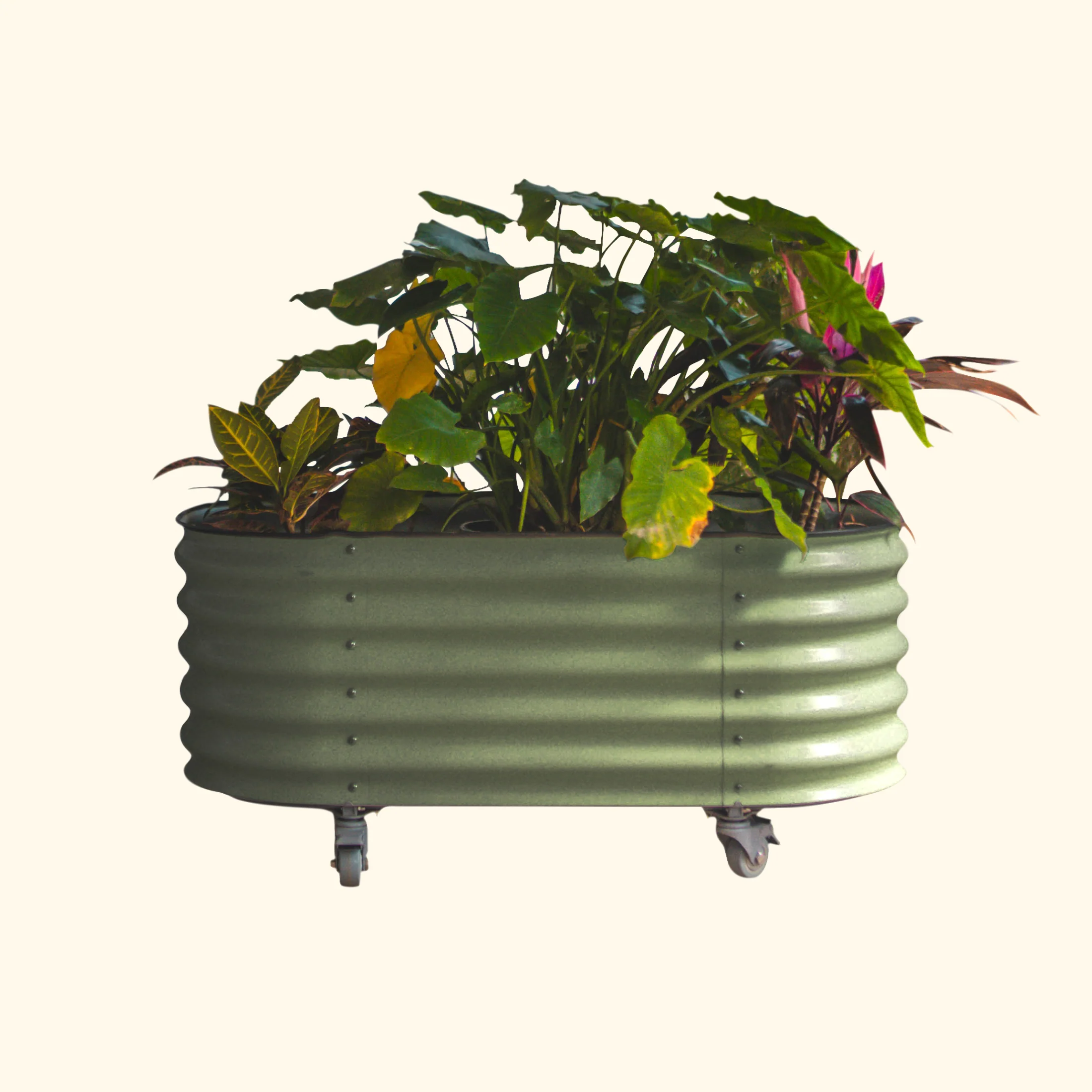 Self-Watering Rolling Garden Bed - 2' x 4'