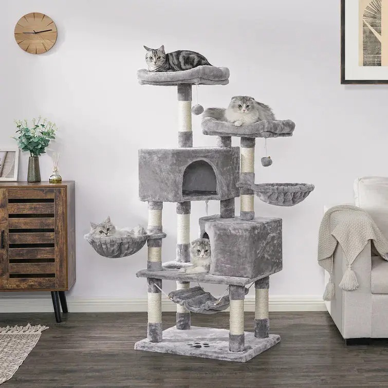 â¤ï¸The Best Gift For Your Cats