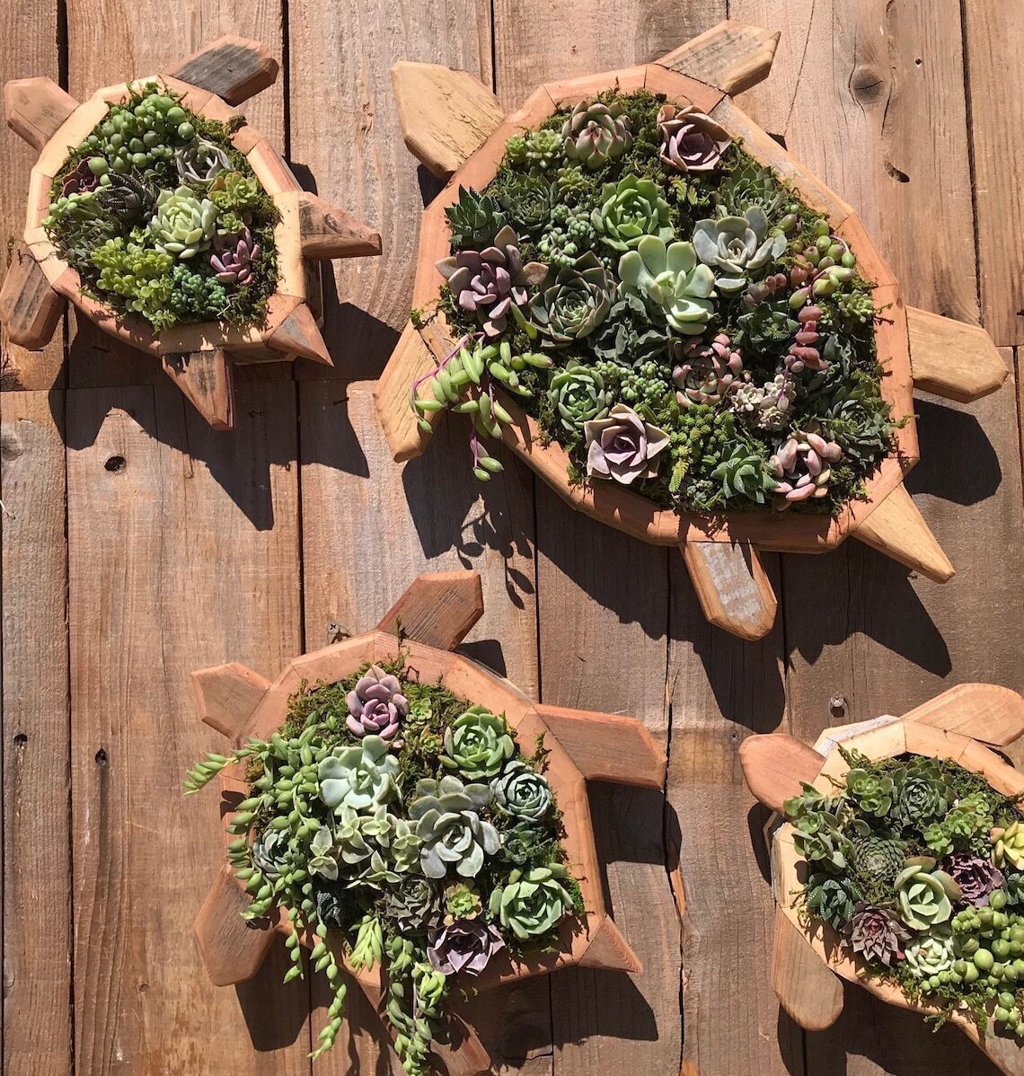 Sea turtle planter