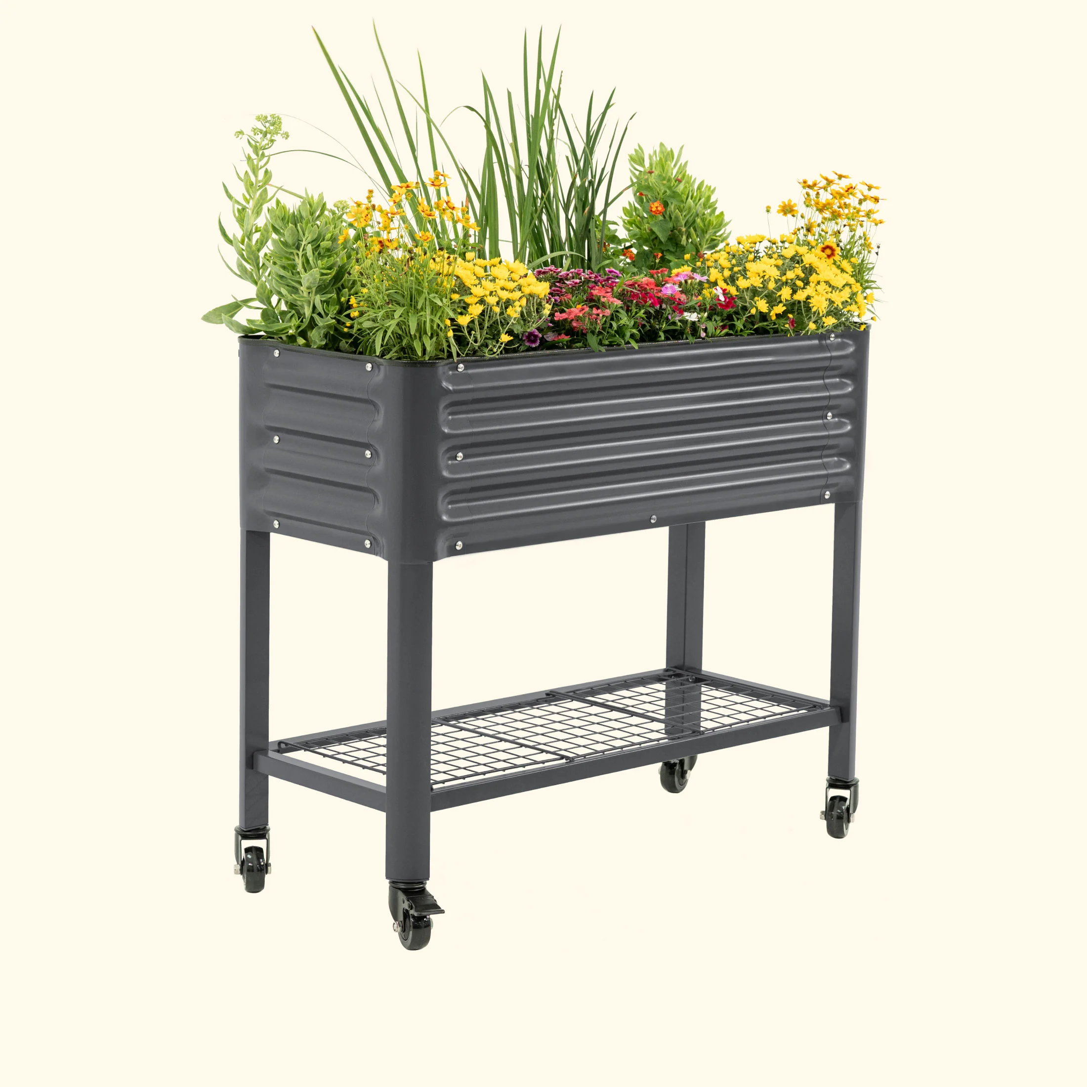 Elevated Garden Bed - Slim Series 1.5' x 3.5'  Wheels Included