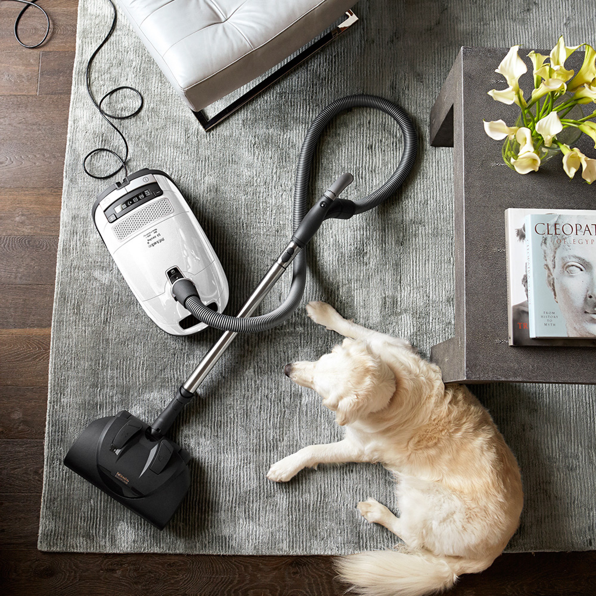 Complete C3 Cat & Dog Vacuum