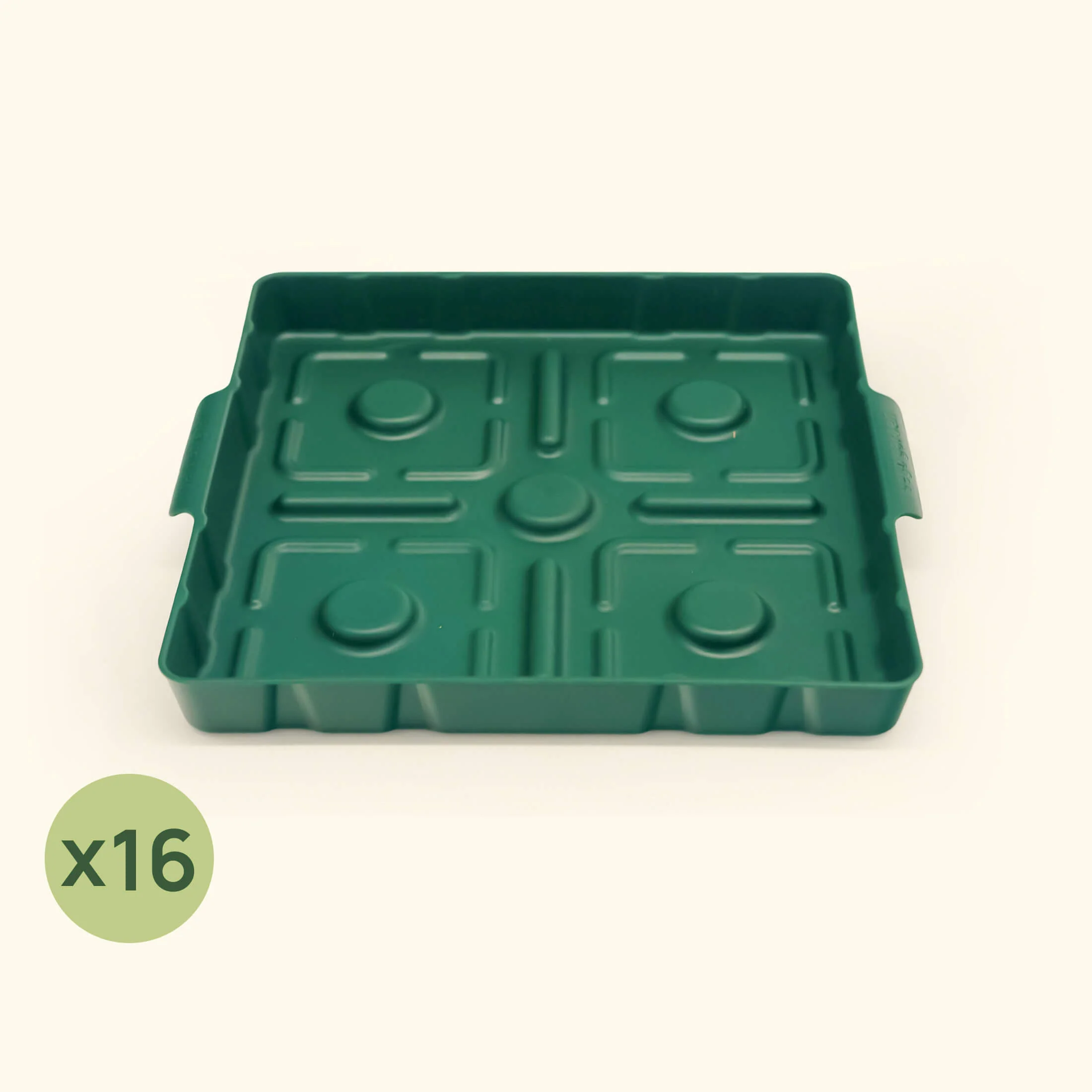 Bottom Watering Tray