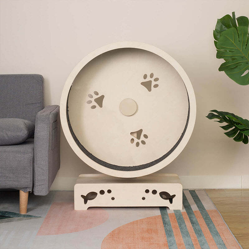 â¤ï¸The Best Gift For Your Cats