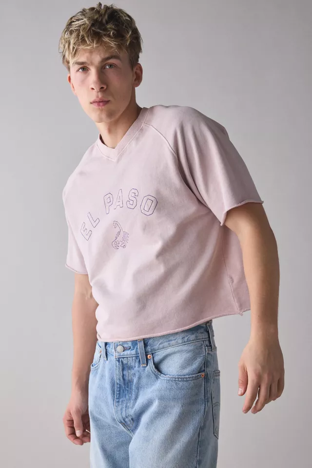 BDG Perry Embroidered Cropped Short Sleeve Sweatshirt