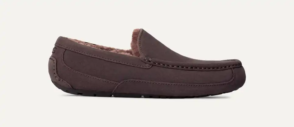 Men's Ascot Slipper