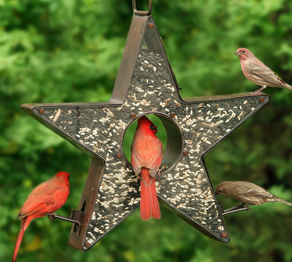 Star Shaped Copper Fly Thru Bird Feeder
