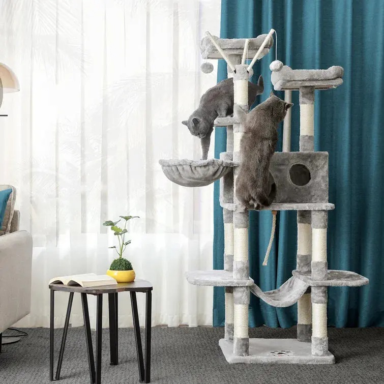 â¤ï¸The Best Gift For Your Cats