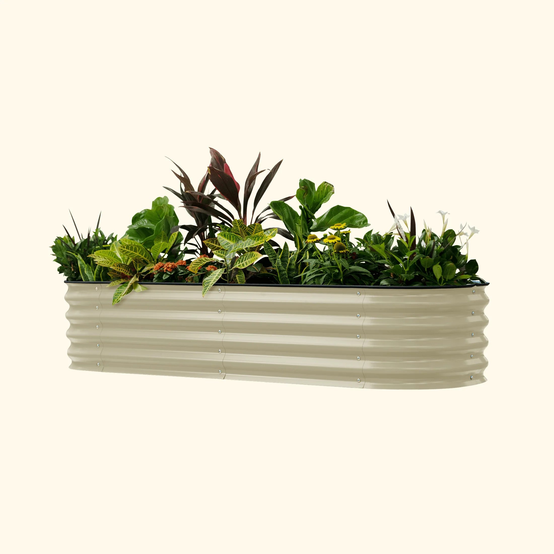 Self-Watering Garden Bed - 2' x 6'