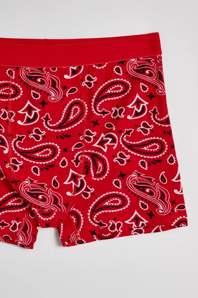 Bandana Pattern Boxer Brief