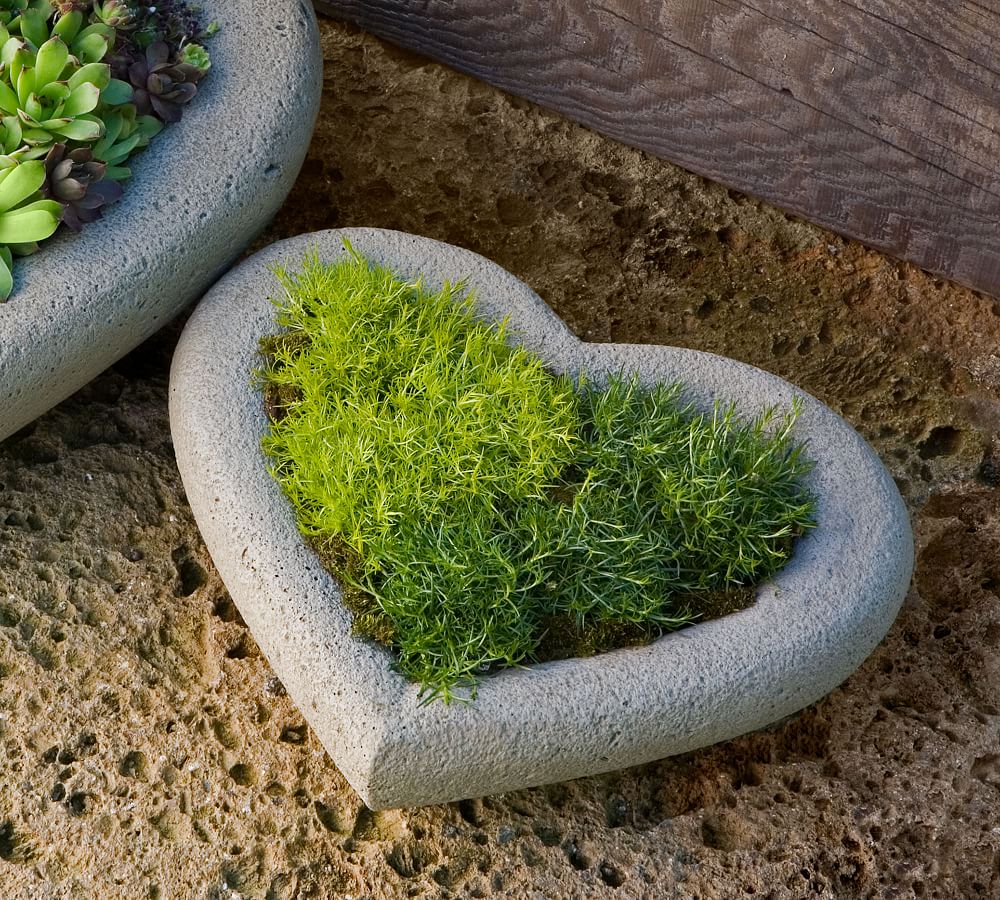 Sweet Heart Planter Collection