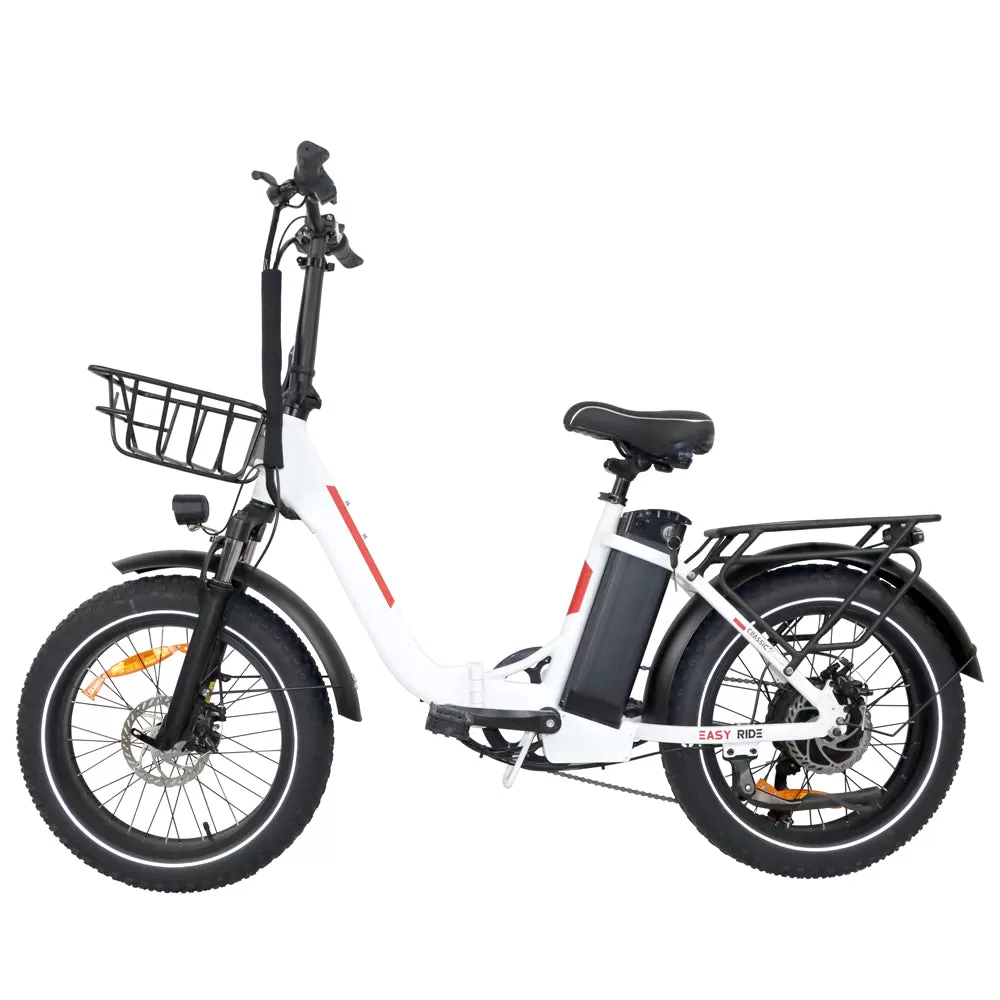 E-BIKE DZ2030 U-type Clause 48V 13Ah 500W Performance Motor SHIMANO 7-Speed