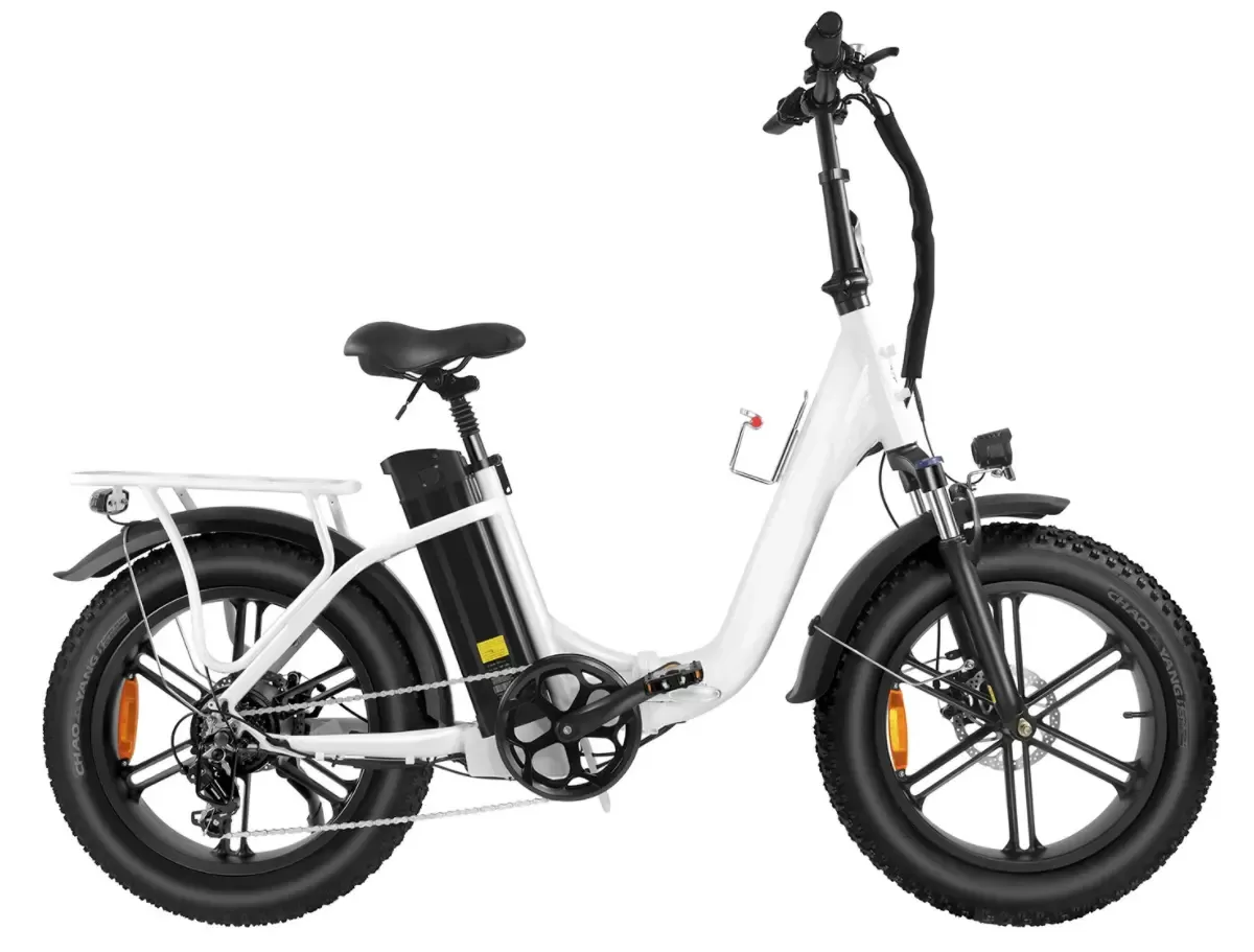 Step-thru, Foldable, and Fat Tire EBike