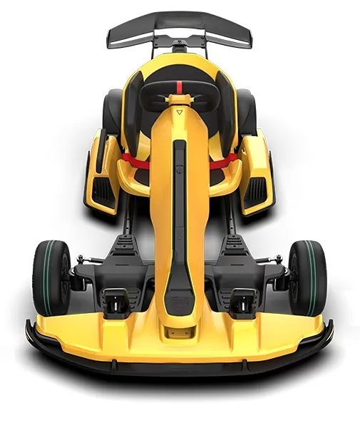 Outdoor Race Pedal Go Karting Car for Kids and Adults, Adjustable Length and Height