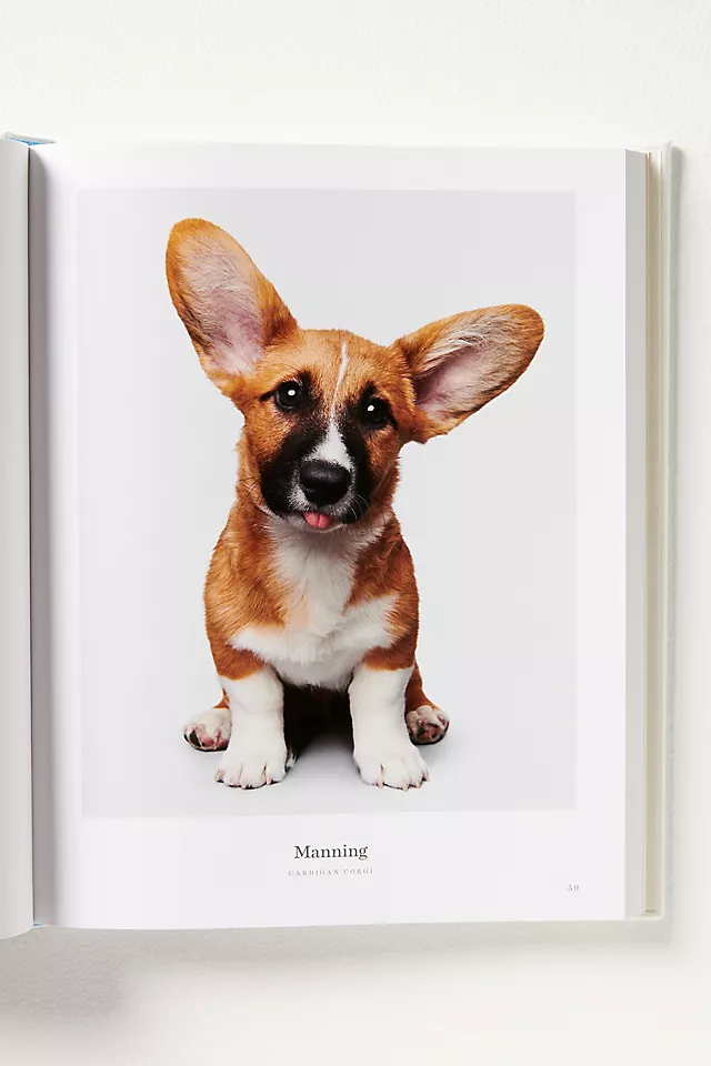 Good Dog: Leather-Bound Edition Hardcover Coffee Table Book