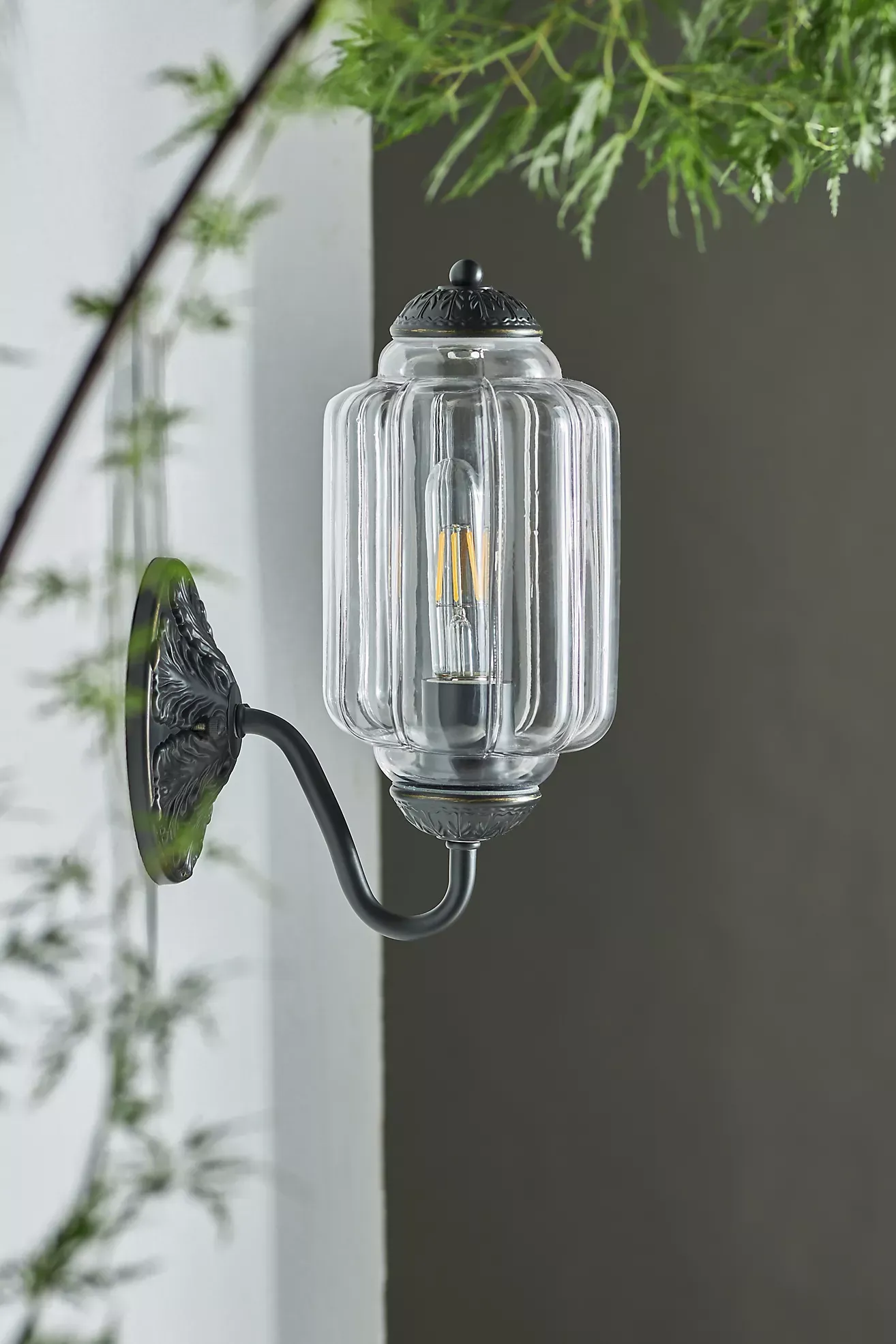 The Eloise Scallop Glass Indoor/Outdoor Sconce Wall Light