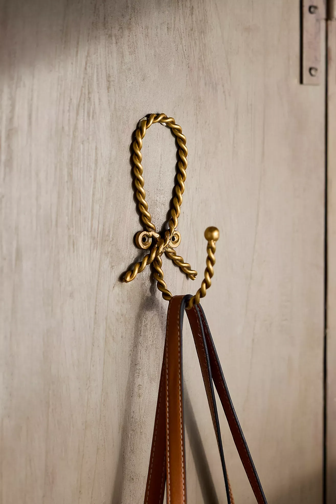 Twisted Brass Wall Hook
