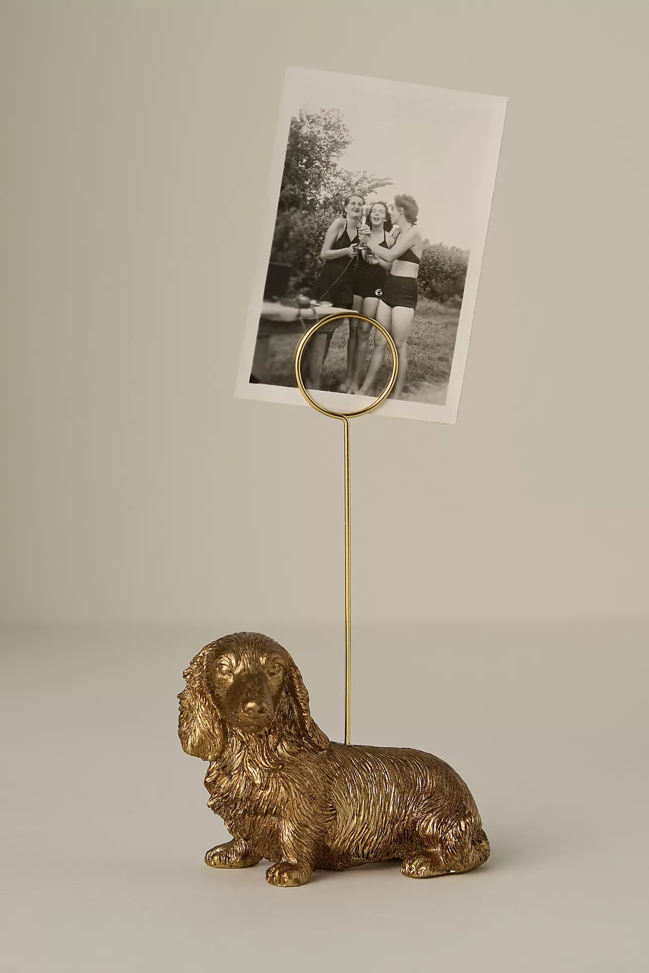 Animal Icon Photo Holder: Dog Edition