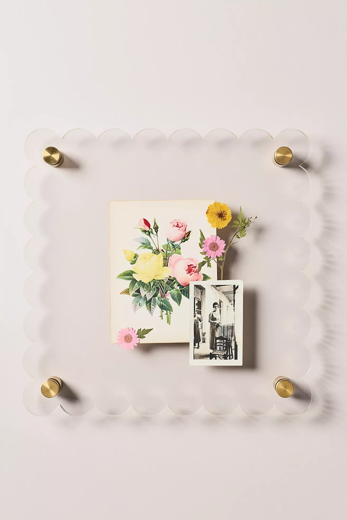 Tart by Taylor Scallop Acrylic Gallery Frame