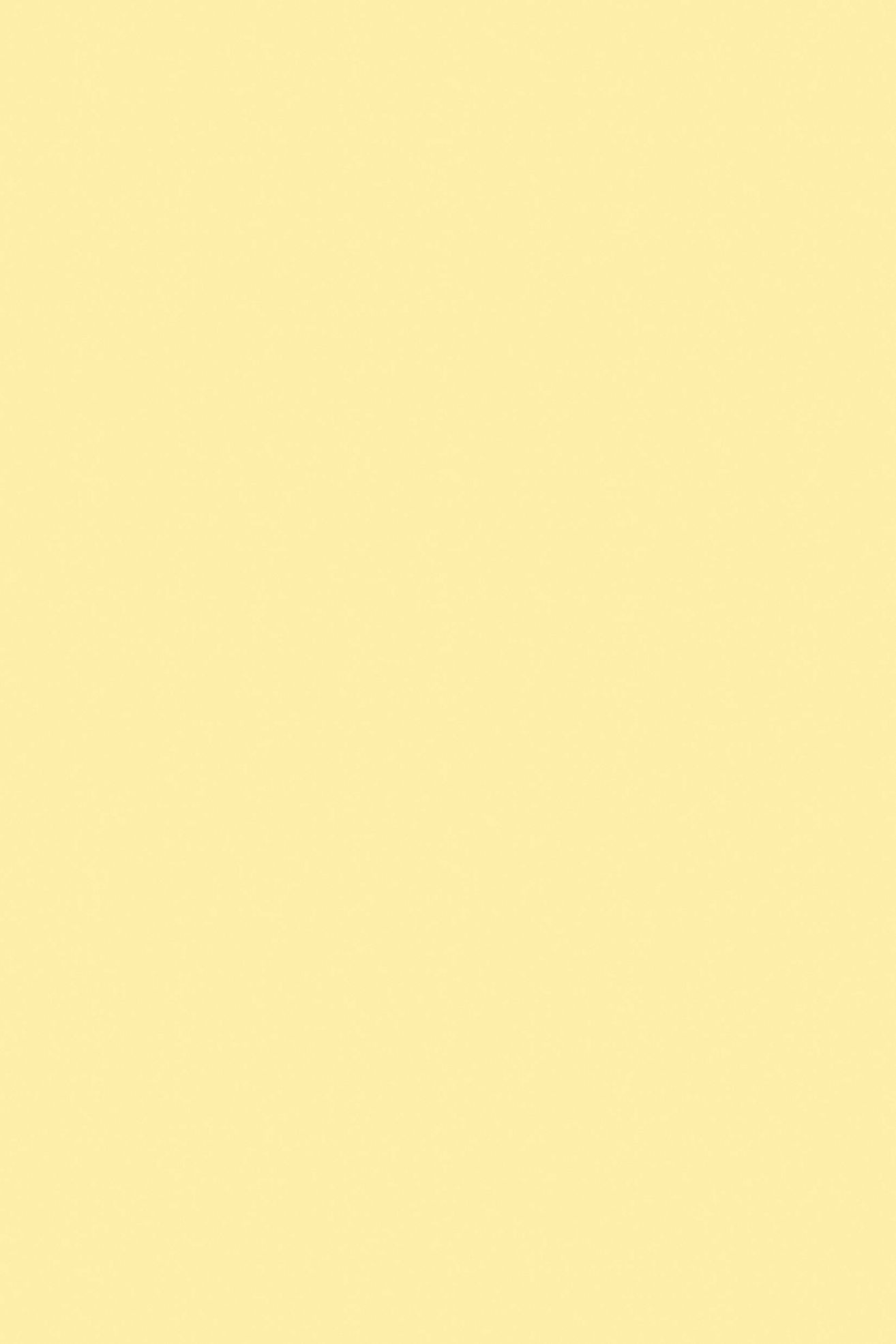 Dayroom Yellow No.233 - 1 Gallon