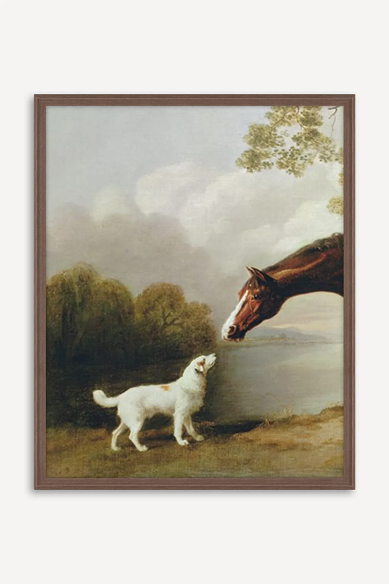 Bay Horse and White Dog - Focus Wall Art