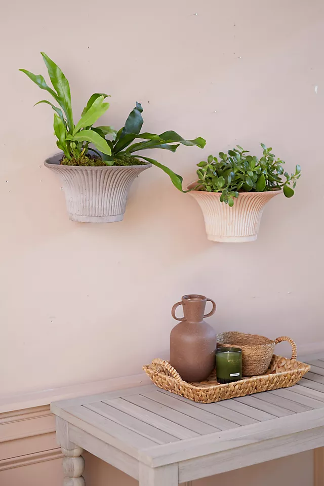 Bergs Daisy Hanging Wall Terracotta Pot
