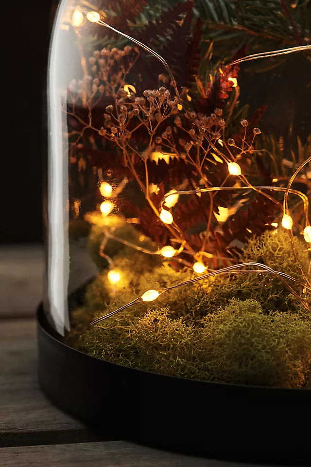 Stargazer Twinkling Rose Gold Twine Lights