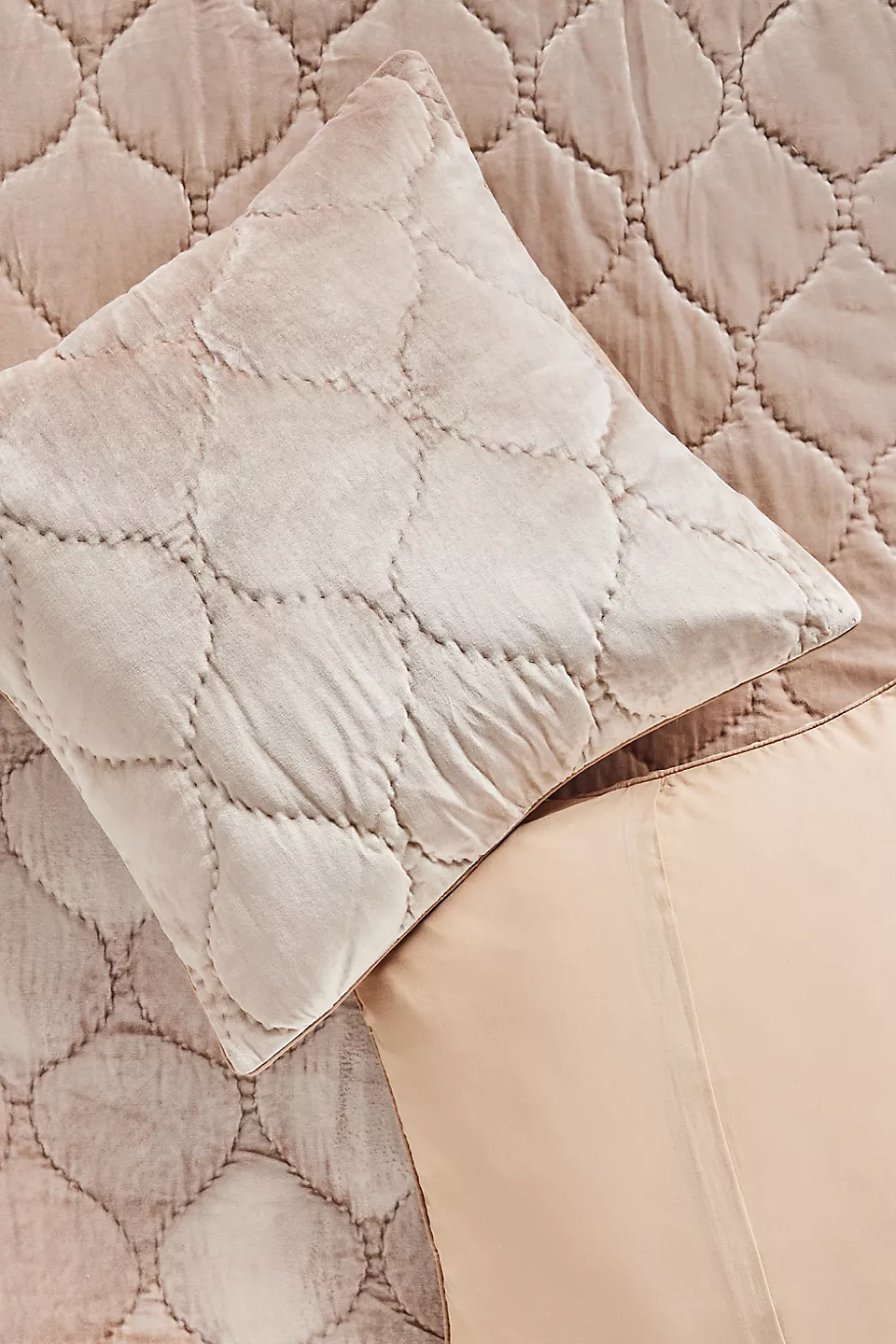 Claire Cotton Velvet Satin Euro Sham