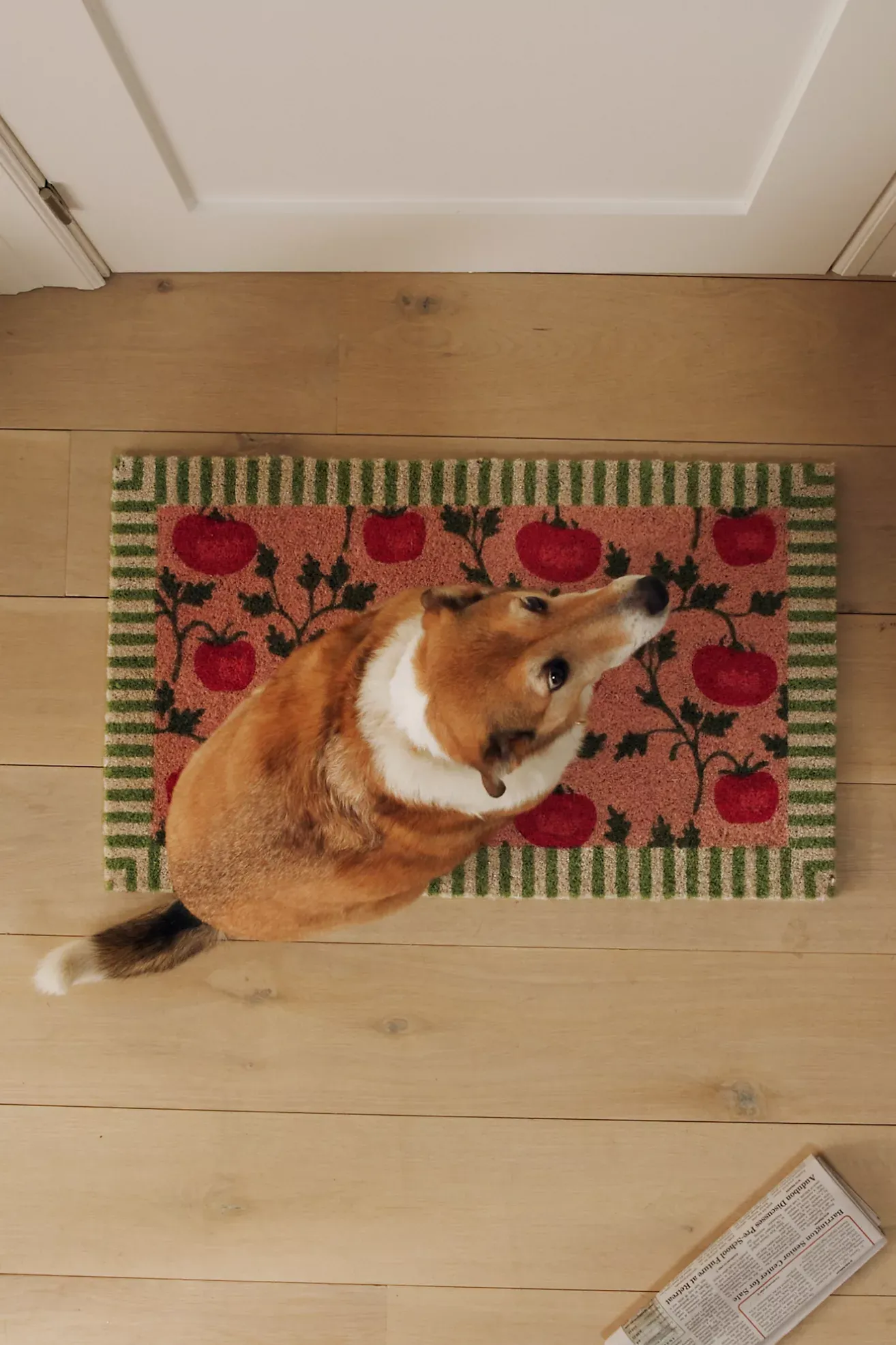 Tomatoes Printed Coir Doormat